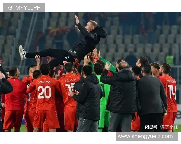 中国足球与欧洲足球的差距分析及未来发展方向探讨