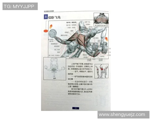 哑铃锻炼对身体健康的多重益处及其科学解析